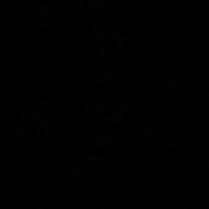 Meet your Posher, Timothy